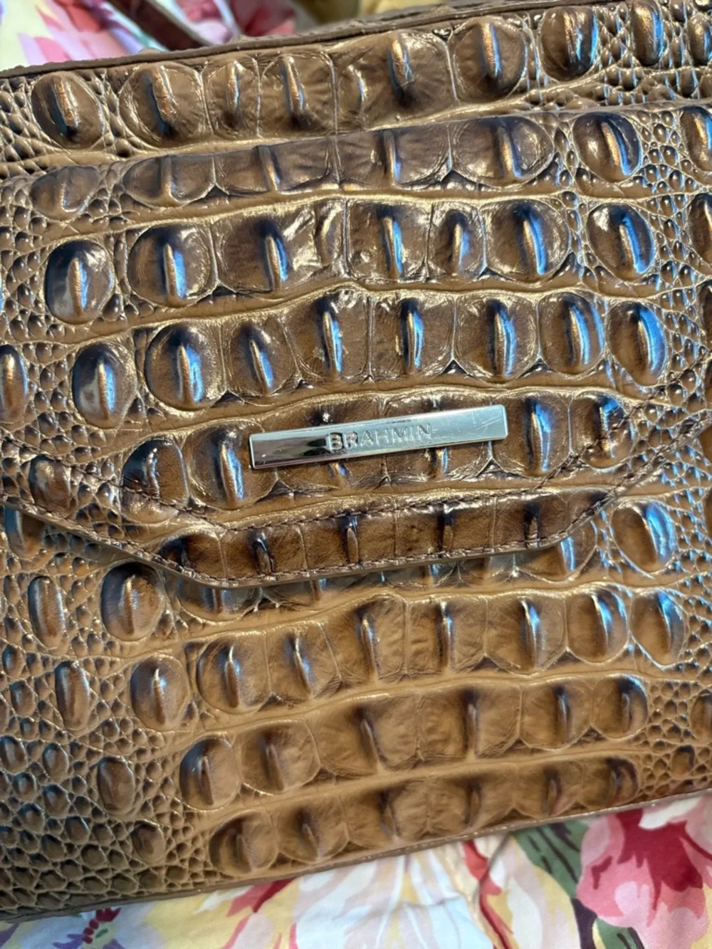 Brown Brahmin Bag with Hints of Burnished Bronze - Picture 2 of 15